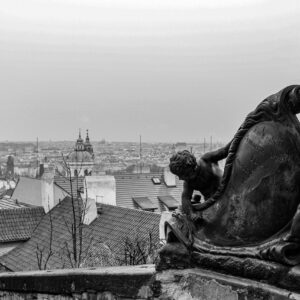 CONCRETE JUNGLE by Camille Massida Photography